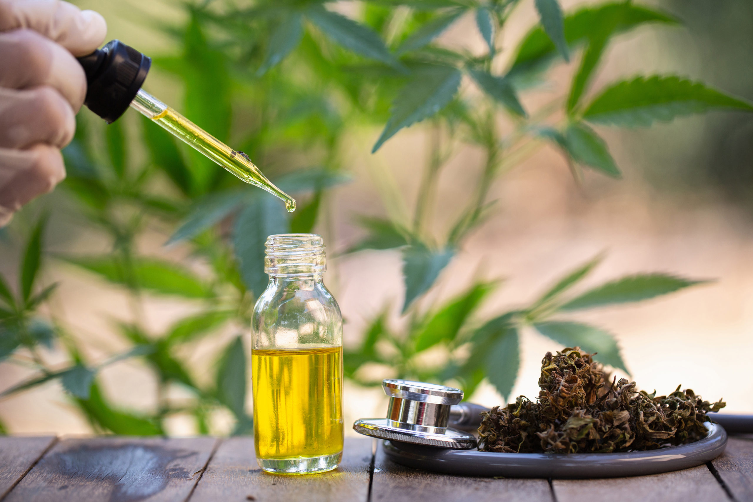 Enjoy Cooking With CBD Oil To Reap Its Healthy Benefits