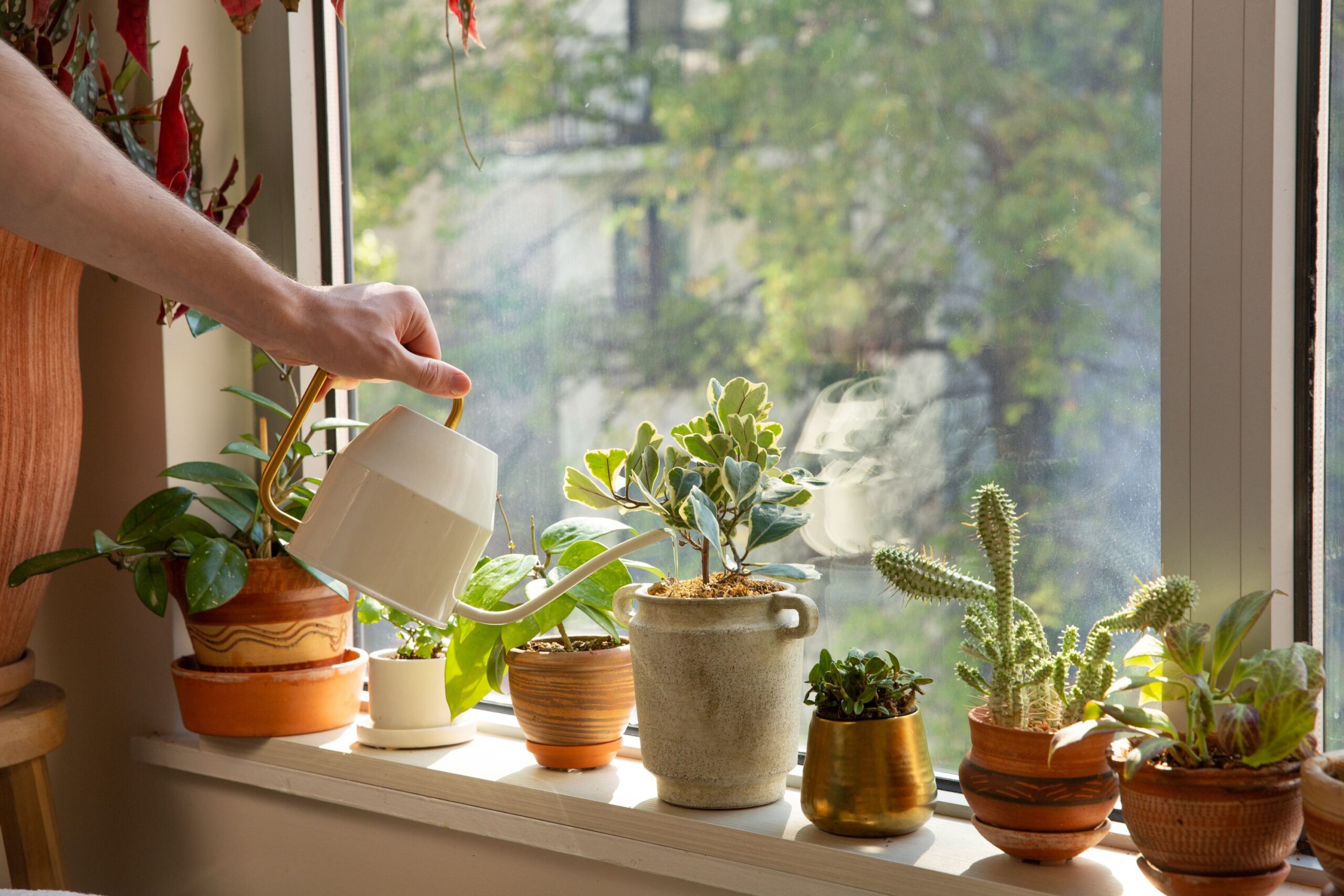 Top Benefits Of Using Plant Containers In Your Home And Garden
