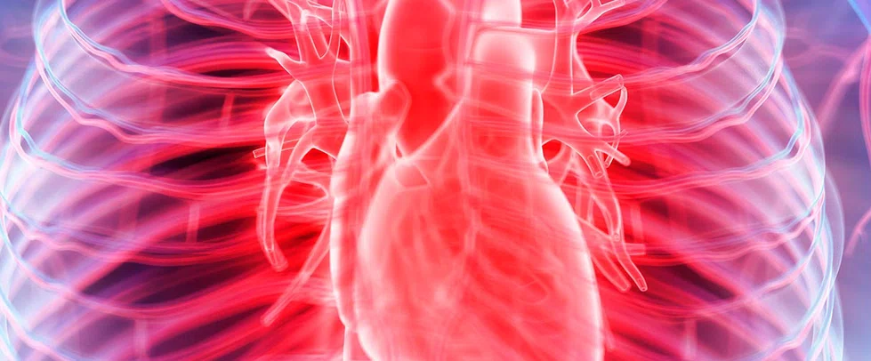The Importance Of Calcium Heart Score In Preventive Cardiology